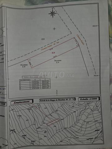 أرض للبيع قرب مصنع رونو طنجة - 2