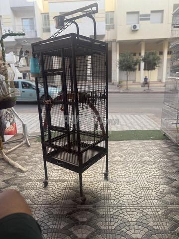 Grande cage avec roues - 2
