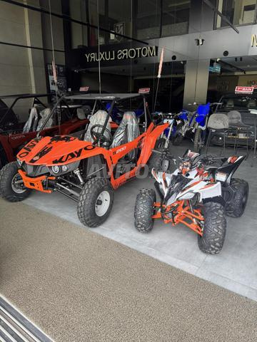 QUAD 110 R - 2