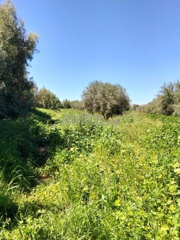 Environs de Marrakech route de Fès - 2