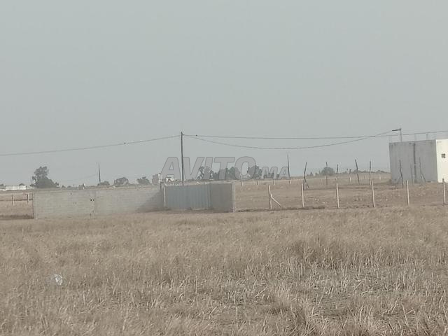 Ferme intégrée pour habitation et investissement - 2