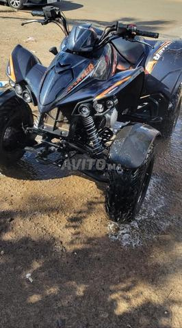 Quad Maxxer 300 - 2