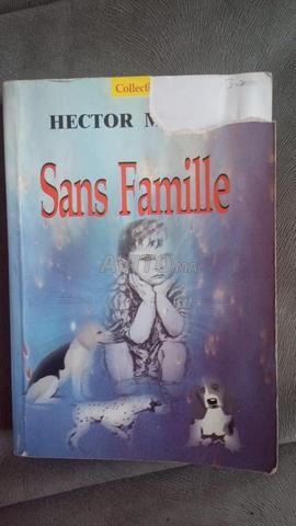 Sans Famille