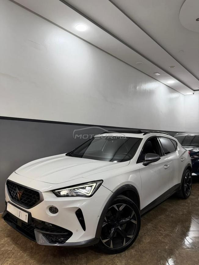 🇲🇦 cupra foremtor