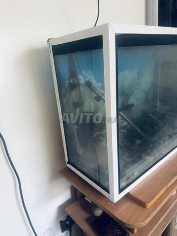 Aquarium avec accessoires - 2