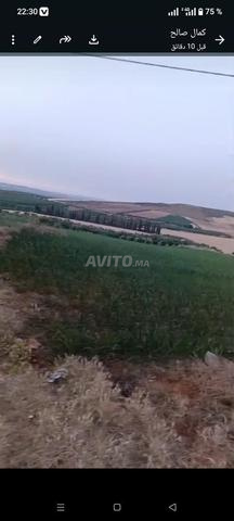 Terrain à vendre Ait Ouallal quatre hectares prix 140