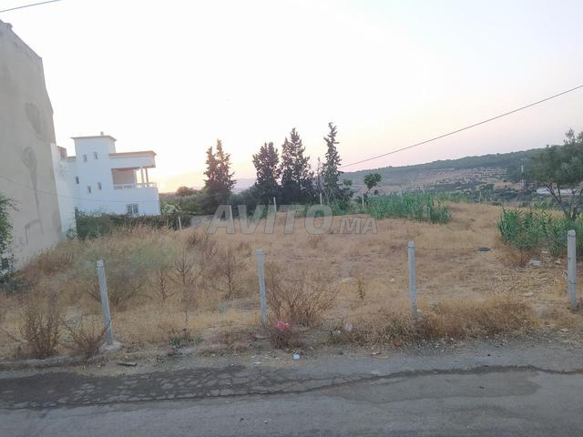 أرض محفظة 331 بموقع ممتاز للبيع - 2
