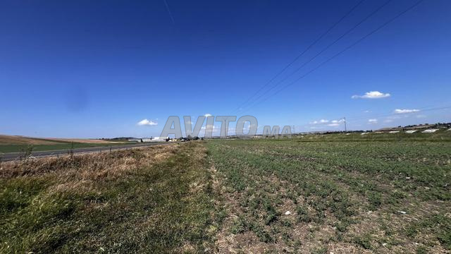 Terrain titré sur la Nationale N1 - 2