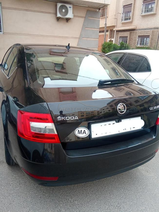 Skoda Octavia ttes options 