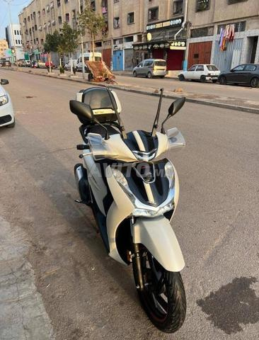 SH SPORT 2022
