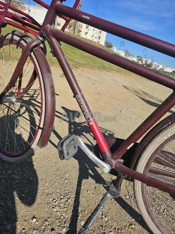 دراجة باتافوس هولندية - 2