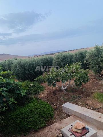 فيلا ريفية للبيع قابلة للتفاوض - 2