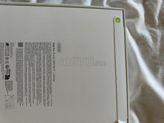 iPad Pro 13 pouces puce M5 256 Go Wifi cellulaire - 2