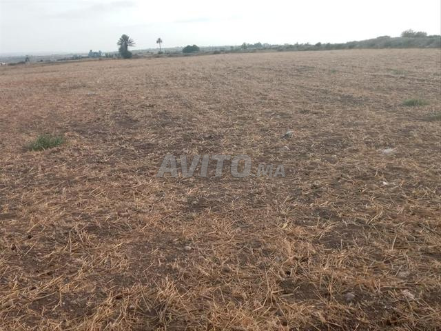 أولاد حمدان - 2