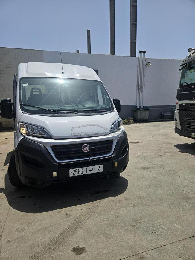 Fiat Ducato Diesel Manuelle 2021 à Salé