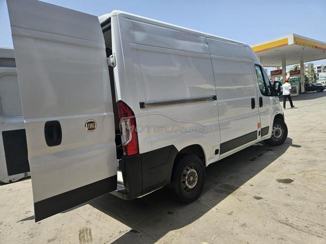 Fiat Ducato Diesel Manuelle 2021 à Salé