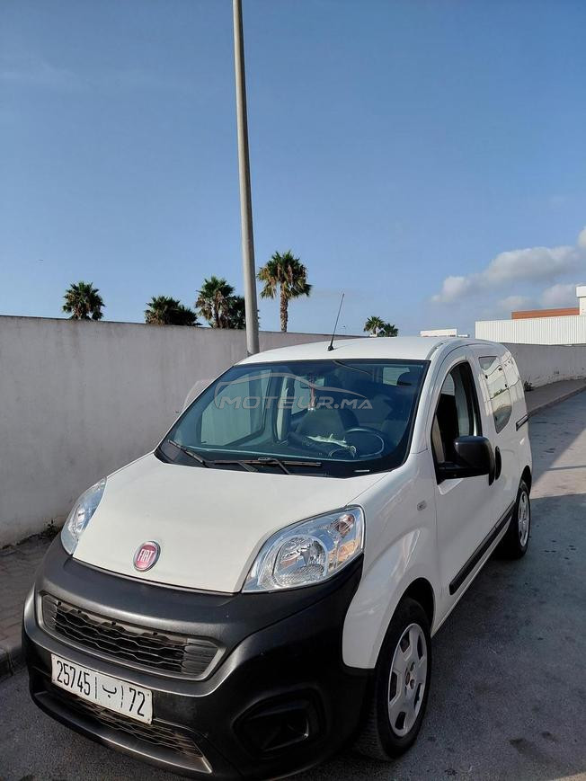 fiat firorino