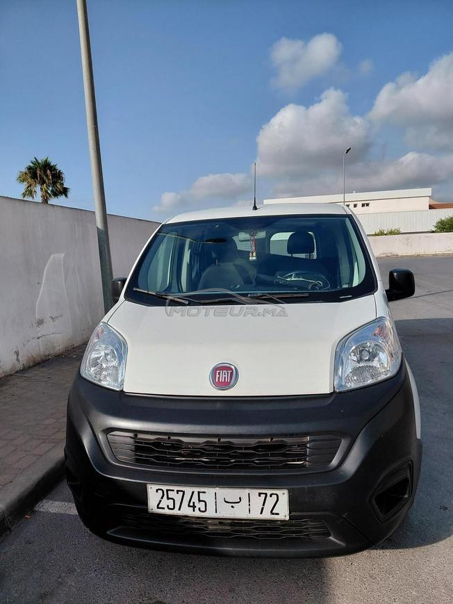 fiat firorino