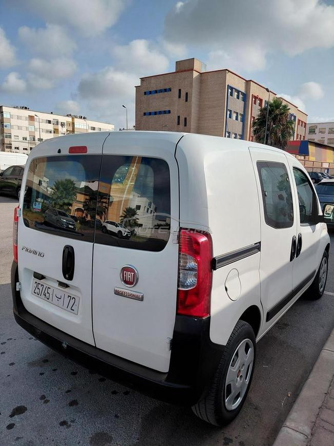 fiat firorino