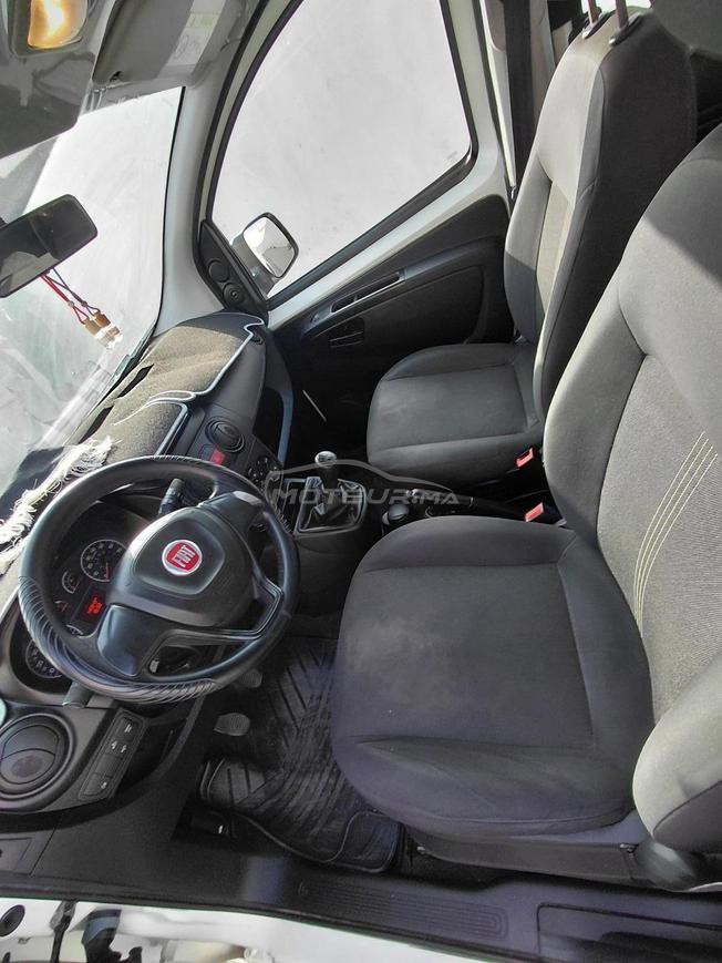 fiat firorino