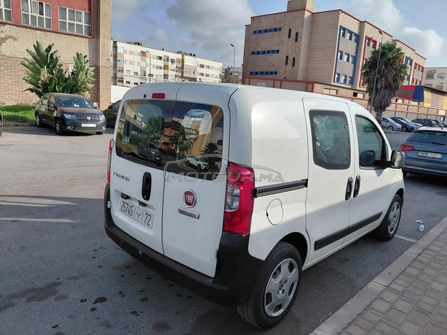 fiat firorino