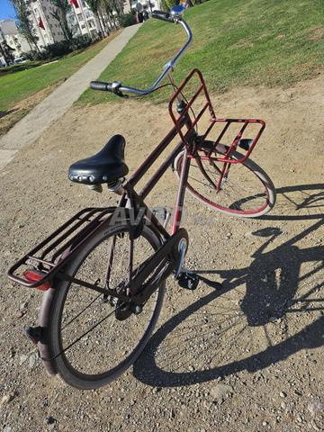 Vélo hollandais Batavus - 2