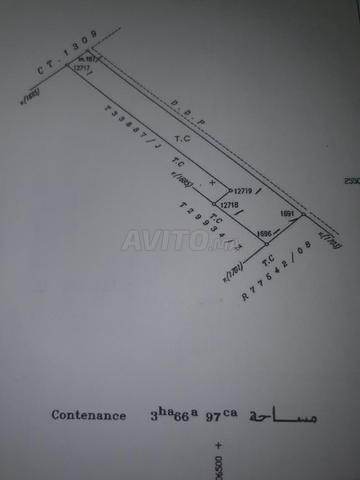 أرض فلاحية للبيع - 2