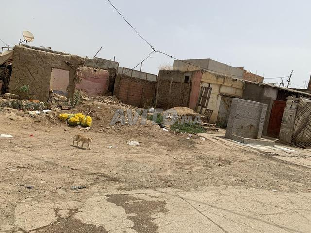 Sidi Slimane - 2