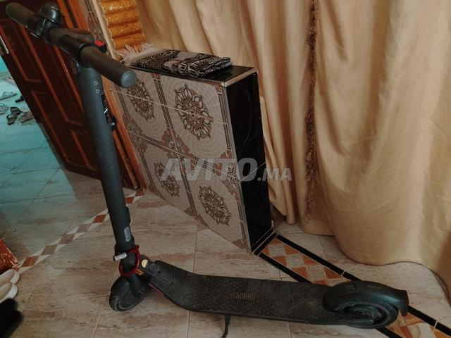 مدينة الريش - 2