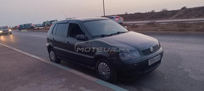 polo mazot 