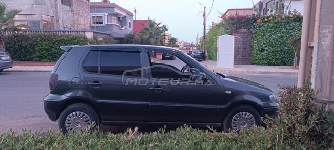 polo mazot 