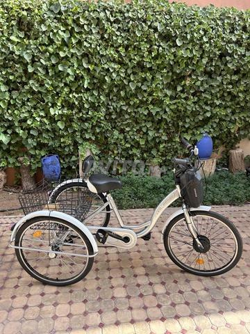 Tricycle électrique adulte en excellent état