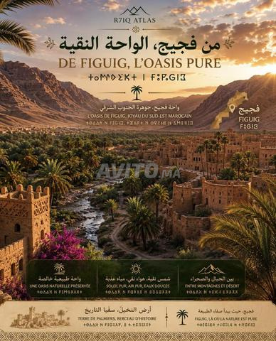 عسل السدر الطبيعي من فكيك - 2