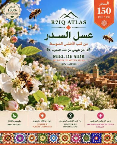 عسل السدر الأطلس المتوسط 100% طبيعي