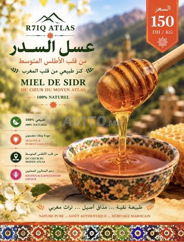 Miel de Sidr Moyen Atlas 100% Naturel - 2