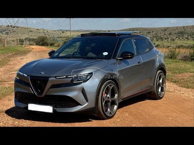 Alfa Romeo Junior IbridaPlus (Toutes options)