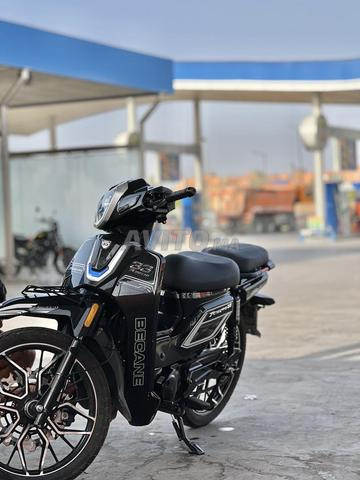 MOTO 33 2026 - 2