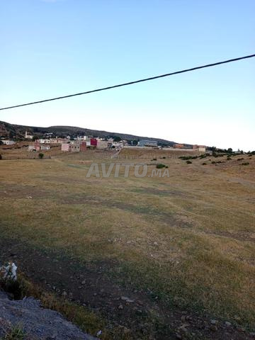 سكدلة طنجة - 2