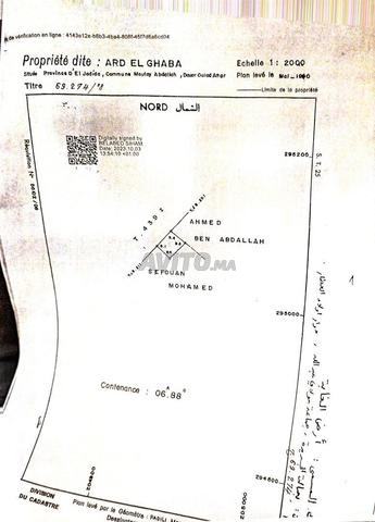 أرض في سيدي بوزيد - 2