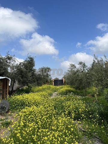 Ferme agricole sur la route d'Ourika, constructible