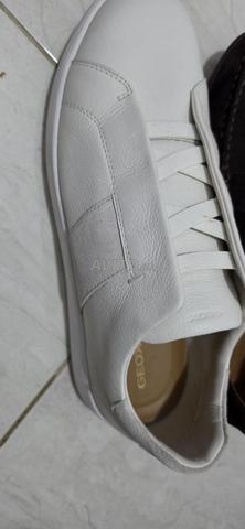 Geox جلد 45 - 2