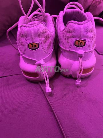 TN Max Plus Utility (44) - 2