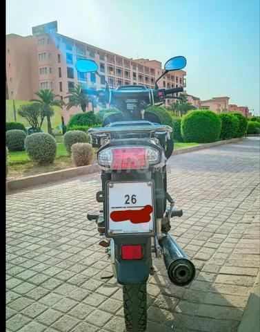 س 50 موديل 2024 - 2