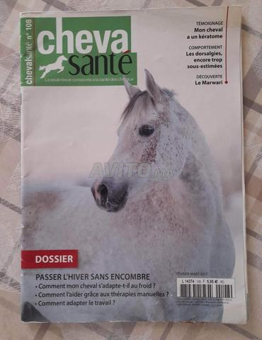 Revue pour la santé des chevaux - 2