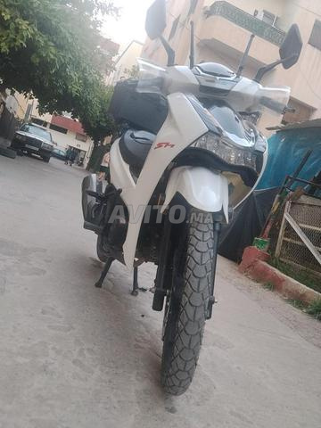 فاس نارجيـس - 2