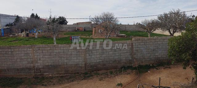 Terrain de 1600 m² à vendre, prix très intéressant - 2