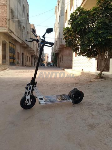 Trottinette Ecoxtrem bison GT 1000w