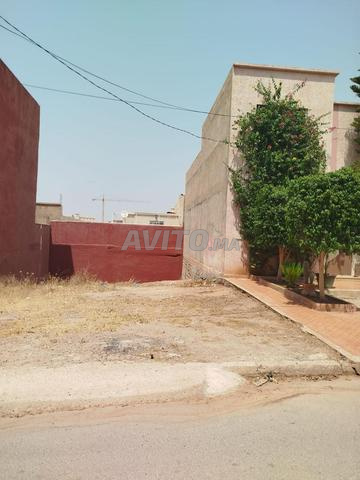 Terrain - Hay el qods - 2
