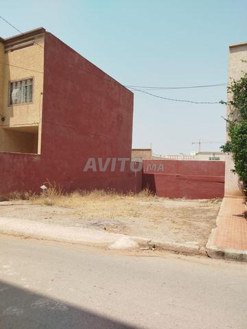 Terrain - Hay el qods