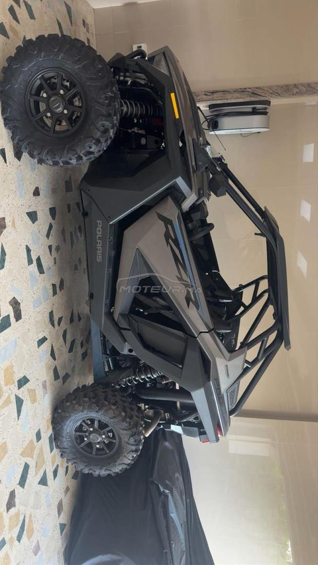 Polaris Rzr Pro Xp Buggy 